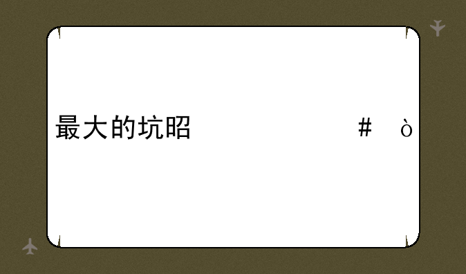 最大的坑是什么？