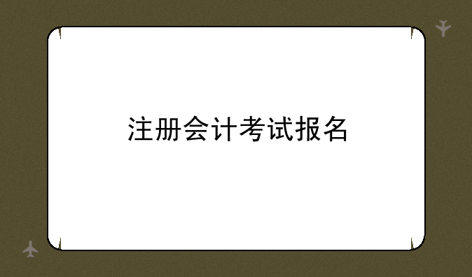 注册会计考试报名