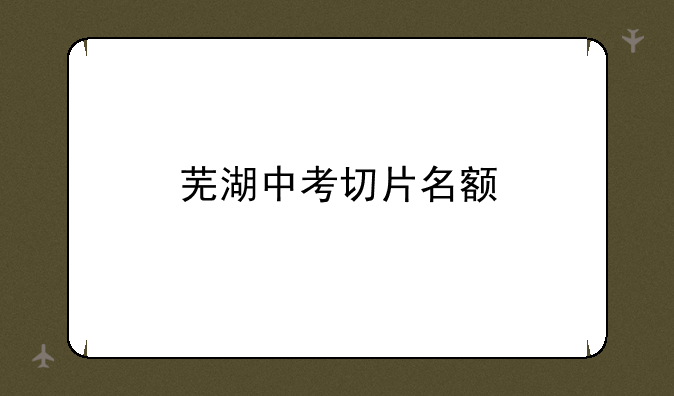 芜湖中考切片名额