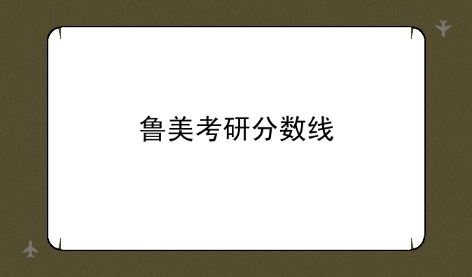 鲁美考研分数线