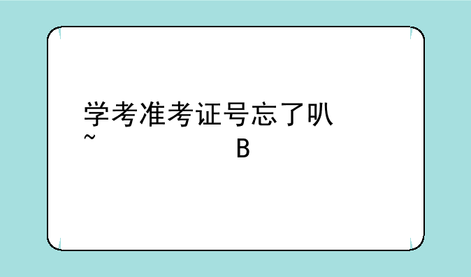 学考准考证号忘了可以查询吗