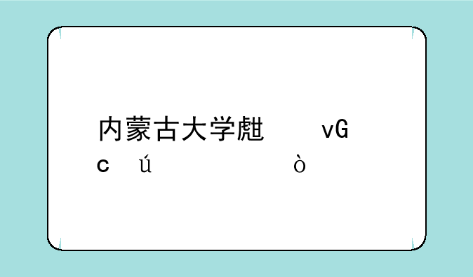 内蒙古大学生村官待遇？